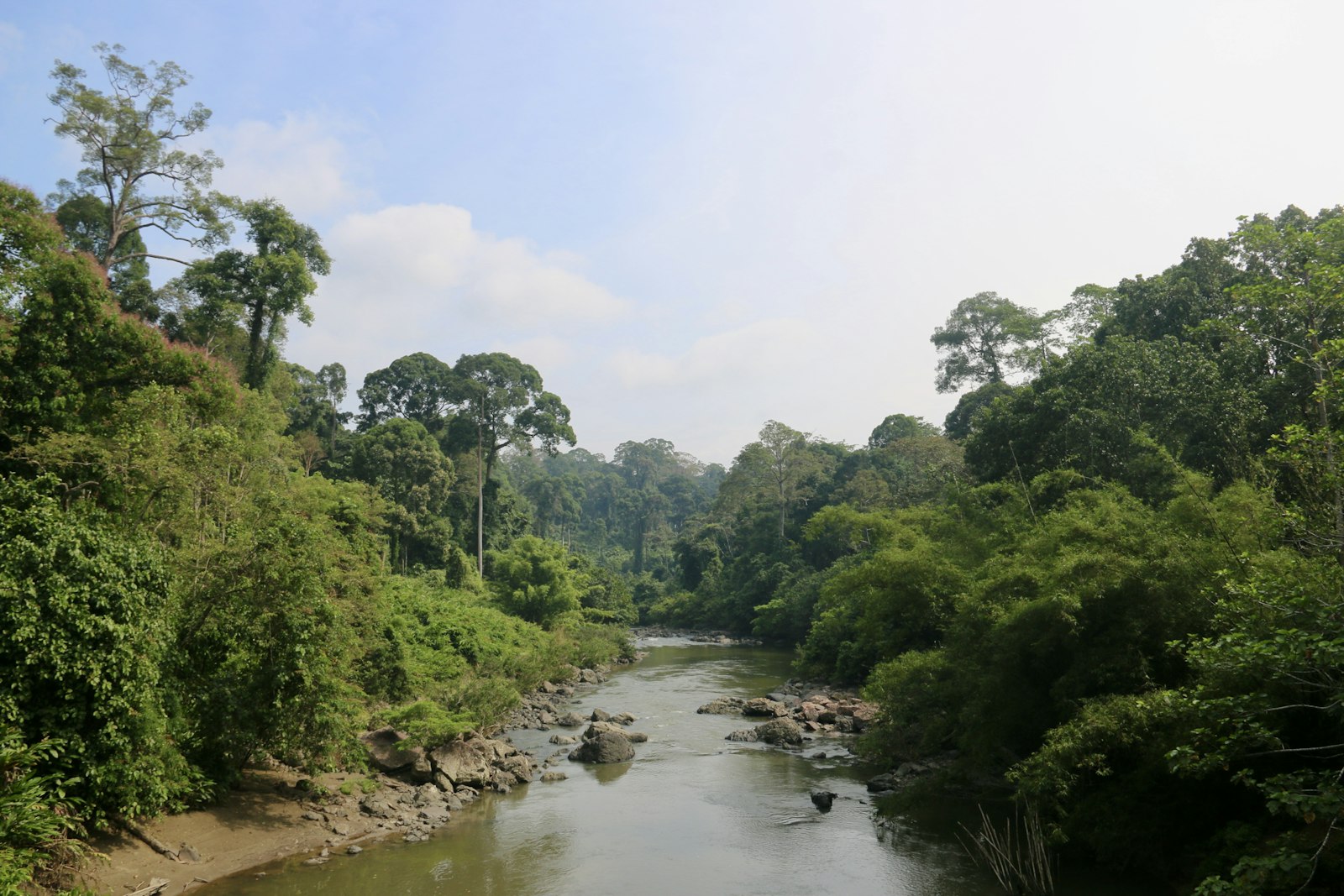 Peta IKN: Lokasi & Luas Wilayah Ibu Kota Nusantara