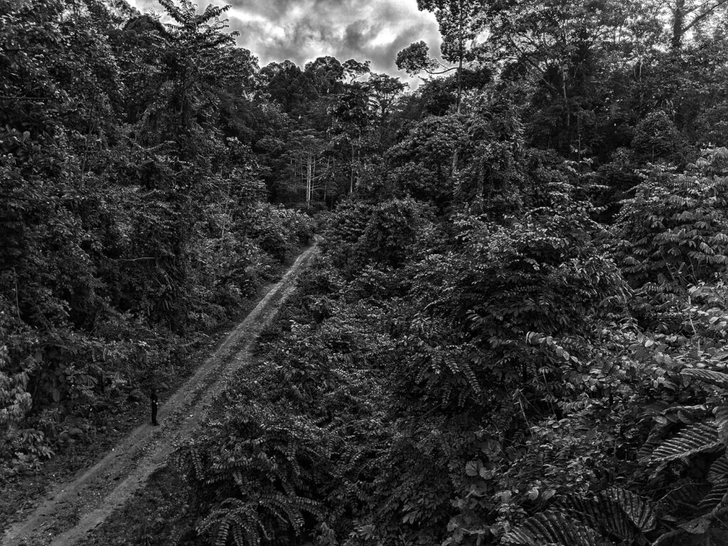 Spot Foto IKN Terbaik: Titik Nol hingga Viewpoint