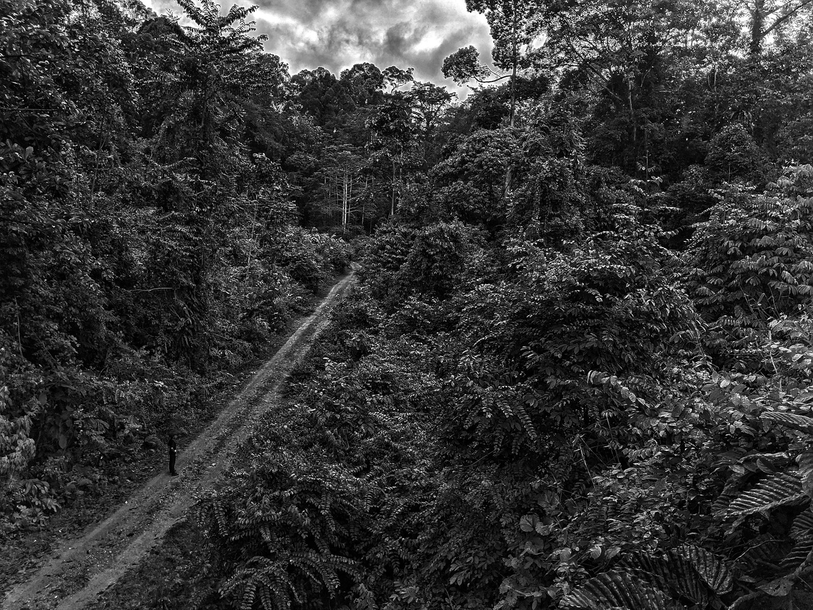 Spot Foto IKN Terbaik: Titik Nol hingga Viewpoint